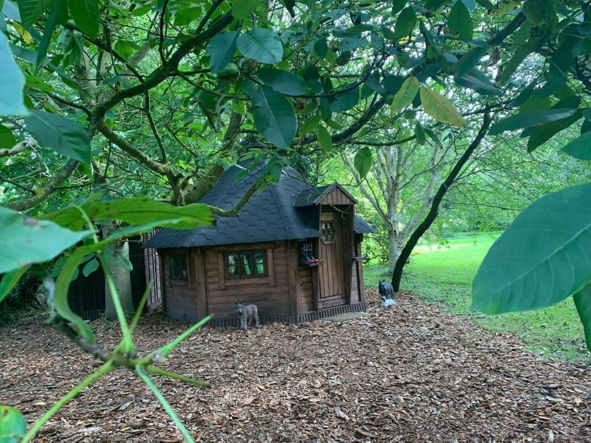 Starry Meadow & Rescued Animal Experiences Villa Great Yarmouth Exterior photo