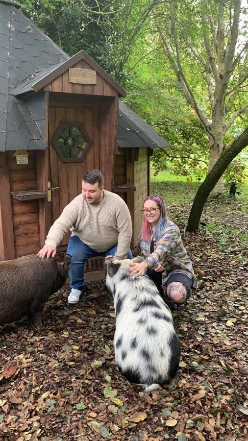 Starry Meadow & Rescued Animal Experiences Villa Great Yarmouth Exterior photo