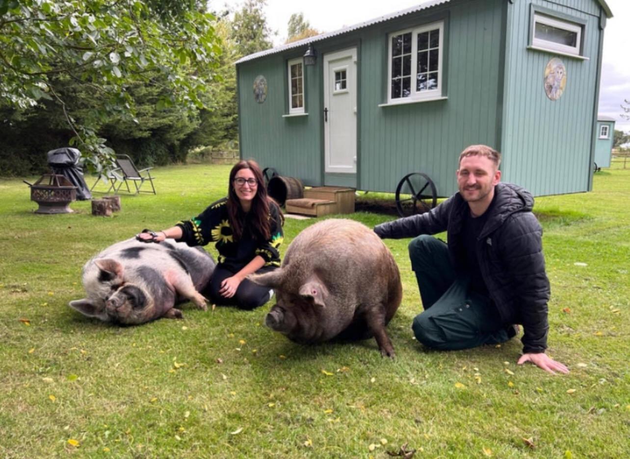 Starry Meadow & Rescued Animal Experiences Villa Great Yarmouth Exterior photo